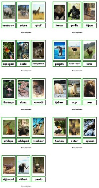 Voorbeeld van Fotowoordkaarten dierentuindieren