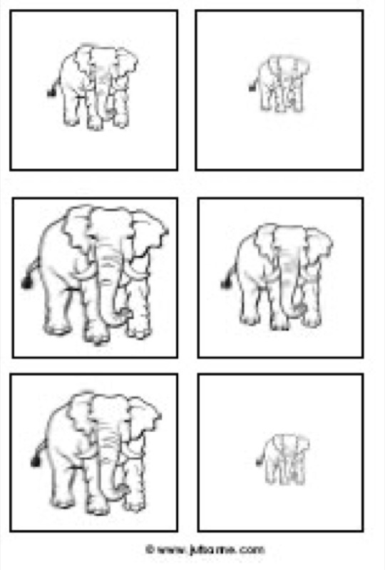 Voorbeeld van Olifant van groot naar klein