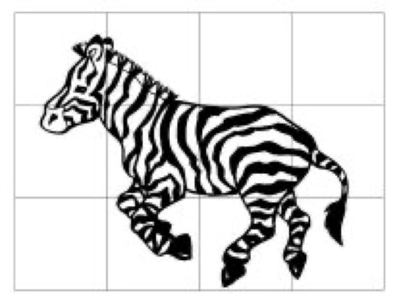 Voorbeeld van Puzzel zebra van 12 stukjes