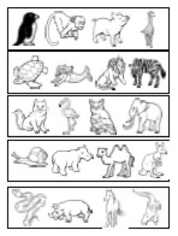 Voorbeeld van Welk dier hoort niet in de dierentuin