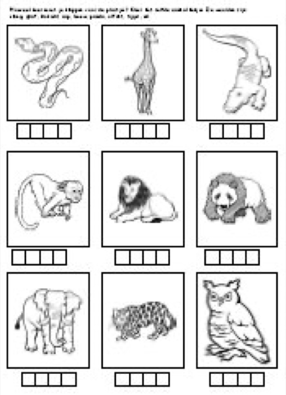 Voorbeeld van Woordstukjes dieren