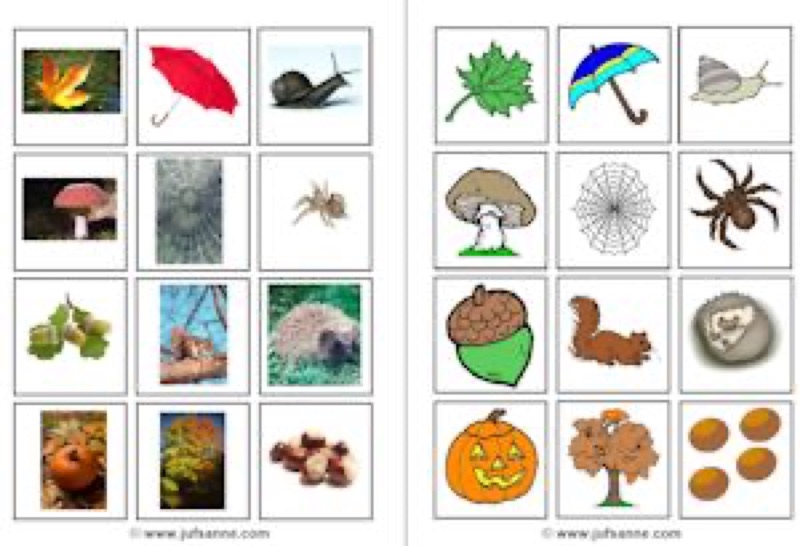 Voorbeeld van Herfstmemory 4 (foto's en plaatjes)