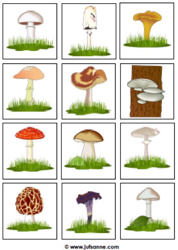 Voorbeeld van Paddenstoelspel