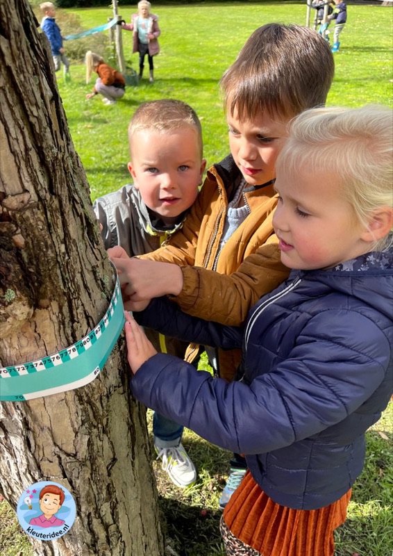 Voorbeeld van Buitenles bomen meten