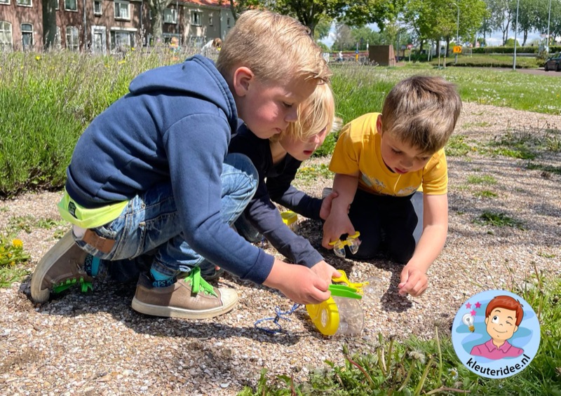 Voorbeeld van Buitenles kriebelbeestjes zoeken