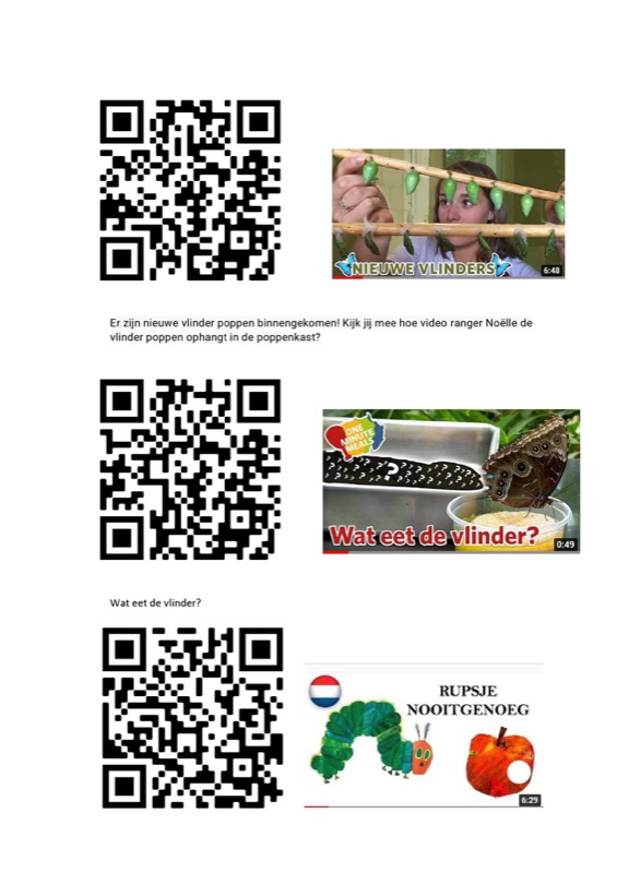 Voorbeeld van QR-codes vlinders