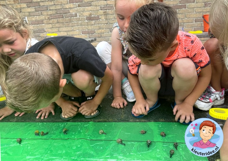 Voorbeeld van Slakkenrace
