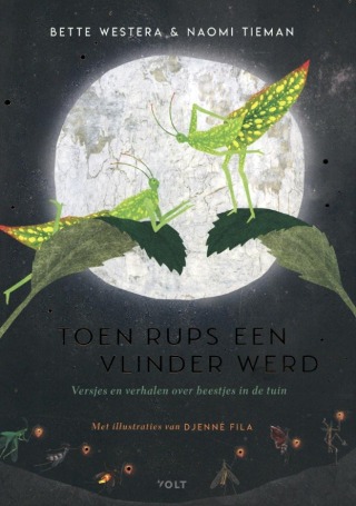 Voorbeeld van Prentenboek: Toen rups een vlinder werd
