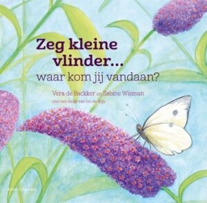 Voorbeeld van Knutsel: Symmetrische Vleugels Vouwverven (Klodderverf)