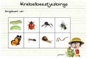 Voorbeeld van Werkblad: Kriebelbeestjes Bingo & Zoekkaart voor Buiten