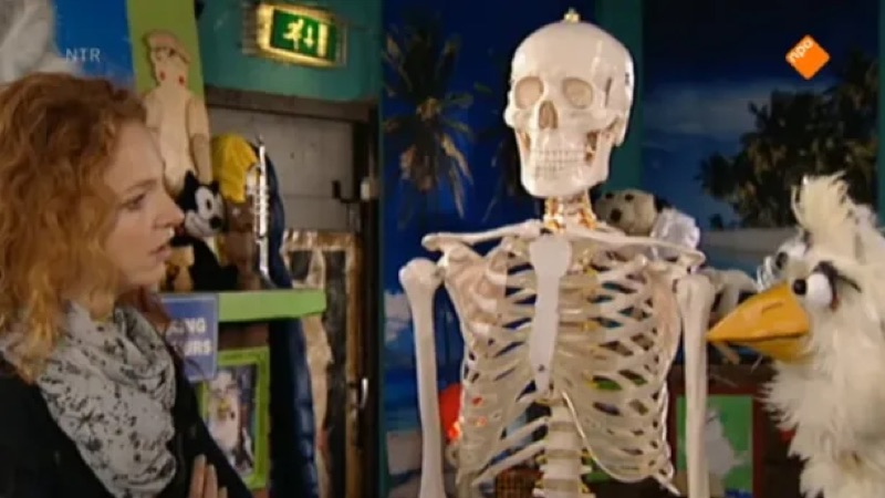 Voorbeeld van Huisje Boompje Beestje: Het skelet – Schooltv