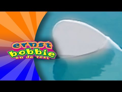 Voorbeeld van Danslied: Baby Haai (Baby Shark Nederlands) – Minidisco