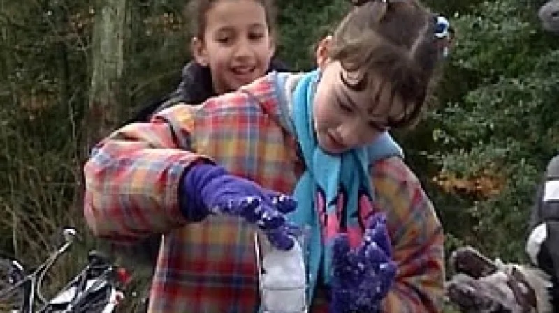 Voorbeeld van Huisje Boompje Beestje: Als sneeuw smelt (proefje) – Schooltv