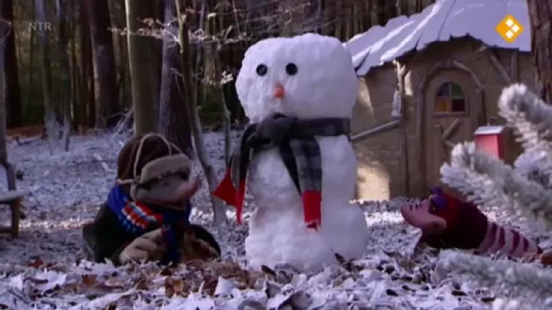 Voorbeeld van Koekeloere: De eenzame sneeuwpop – Schooltv