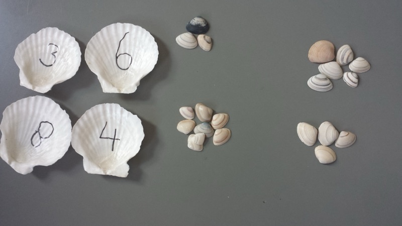 Voorbeeld van Cijferschelpen en stippenschelpen memory