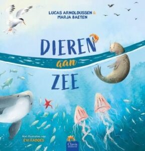 Voorbeeld van Ontdekken: Schelpen Onderzoeken met Loeppotjes & Sorteren