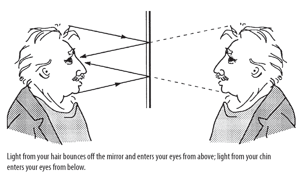 Cilindrische Anamorfose: Geometrische Spiegelkunst & Optica — afbeelding 3