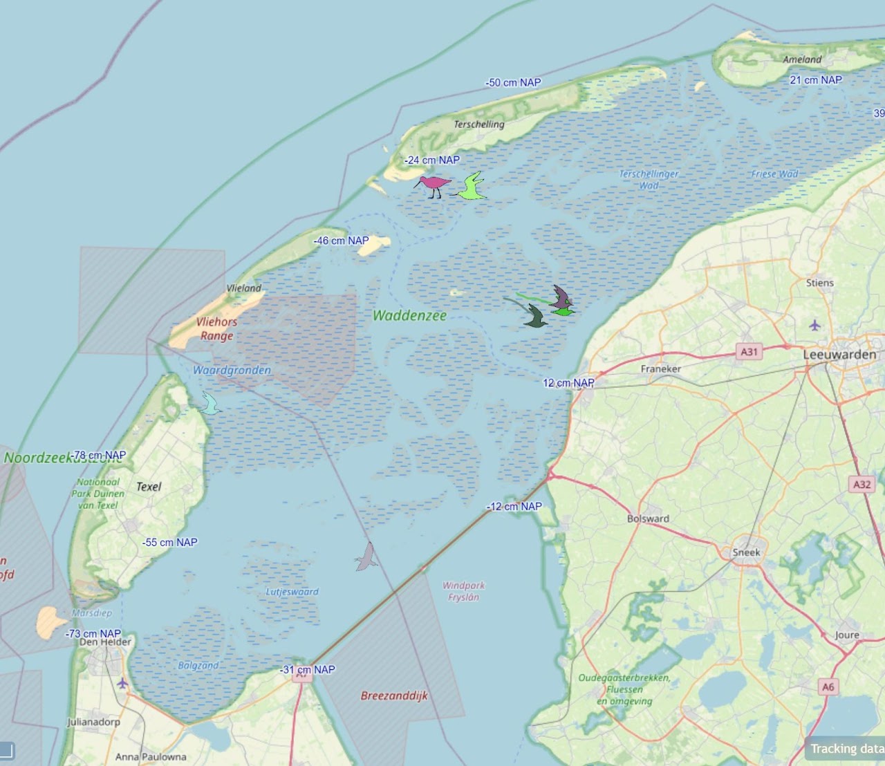Birdtracking: trekvogelonderzoek