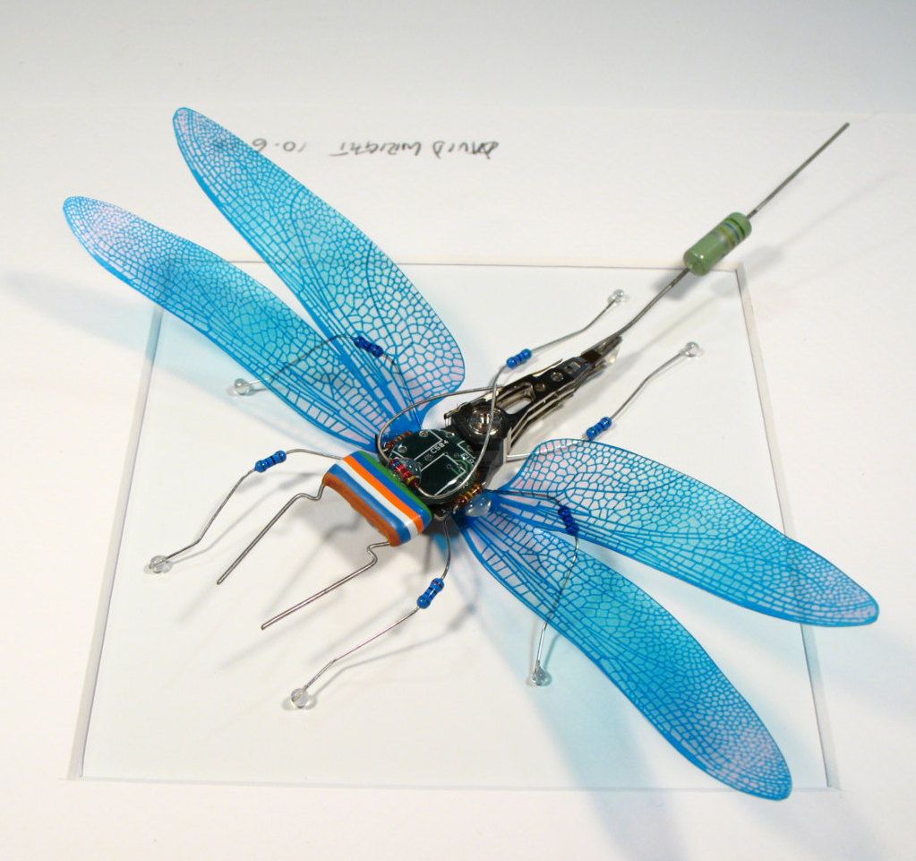 E-insect