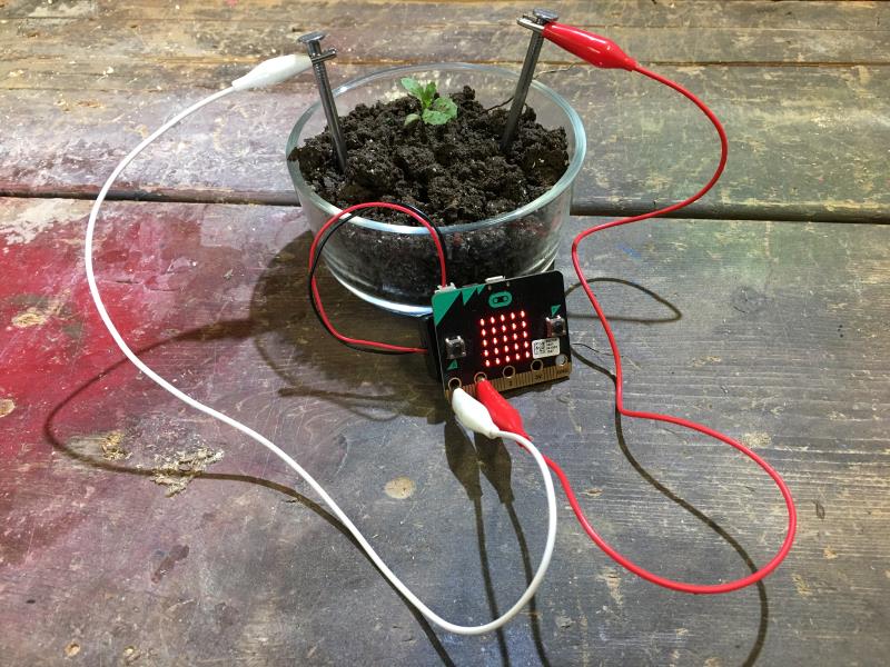 Slimme Plantenbak met Micro:bit Bodemvochtsensor