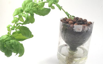 Verticale Hydroponics Tuin van PET-flessen