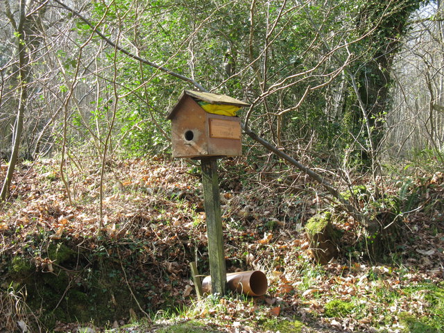Vogelhuisje bouwen