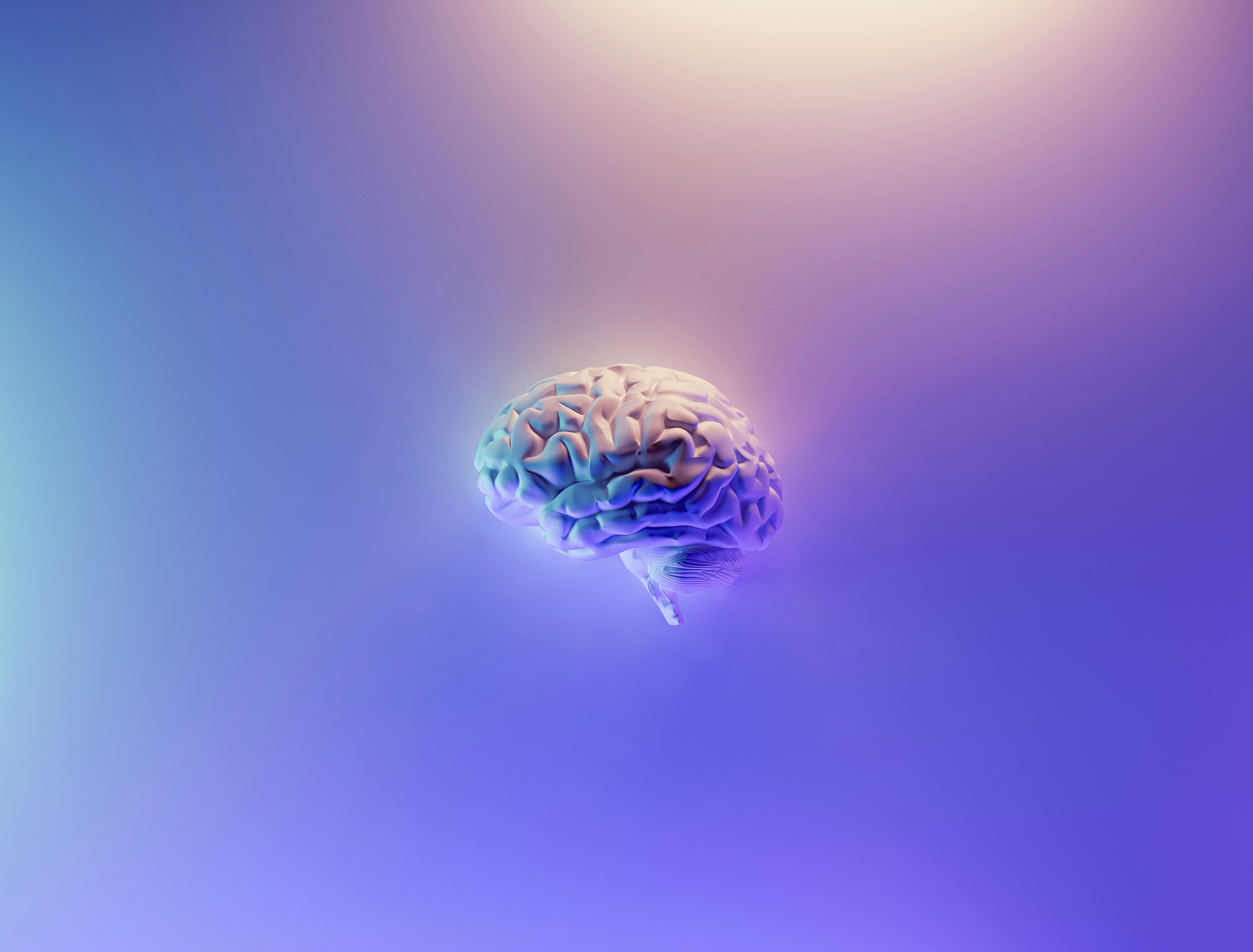 Your Brain Ages in Five Distinct Stages, New Research Shows
