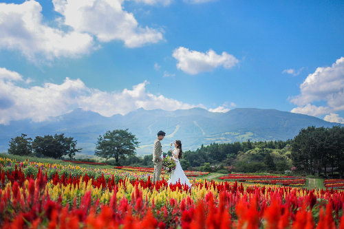花畑と山並みを背景にしたドレスカップル