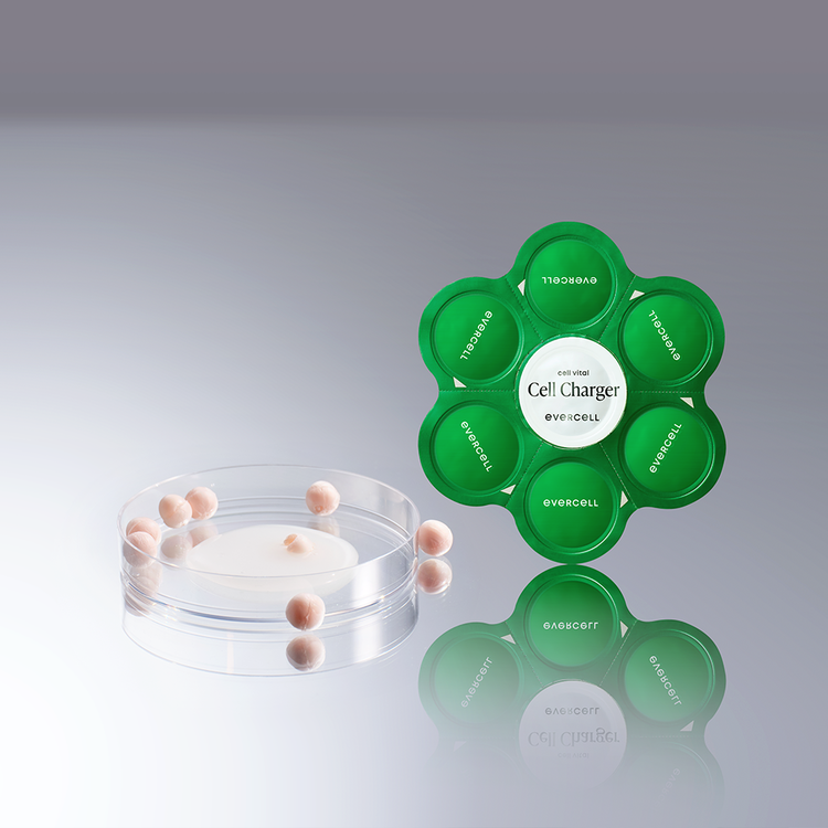 ҮҮДЭЛ ЭС ГЭЖ ЮУ ВЭ?