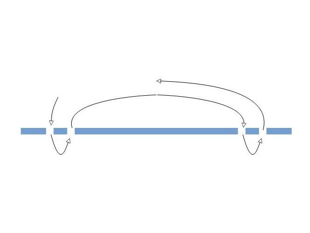 Step 16 Gallery image 1