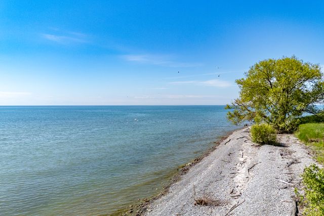 9-692 Lakeport Rd Alnwick, ON