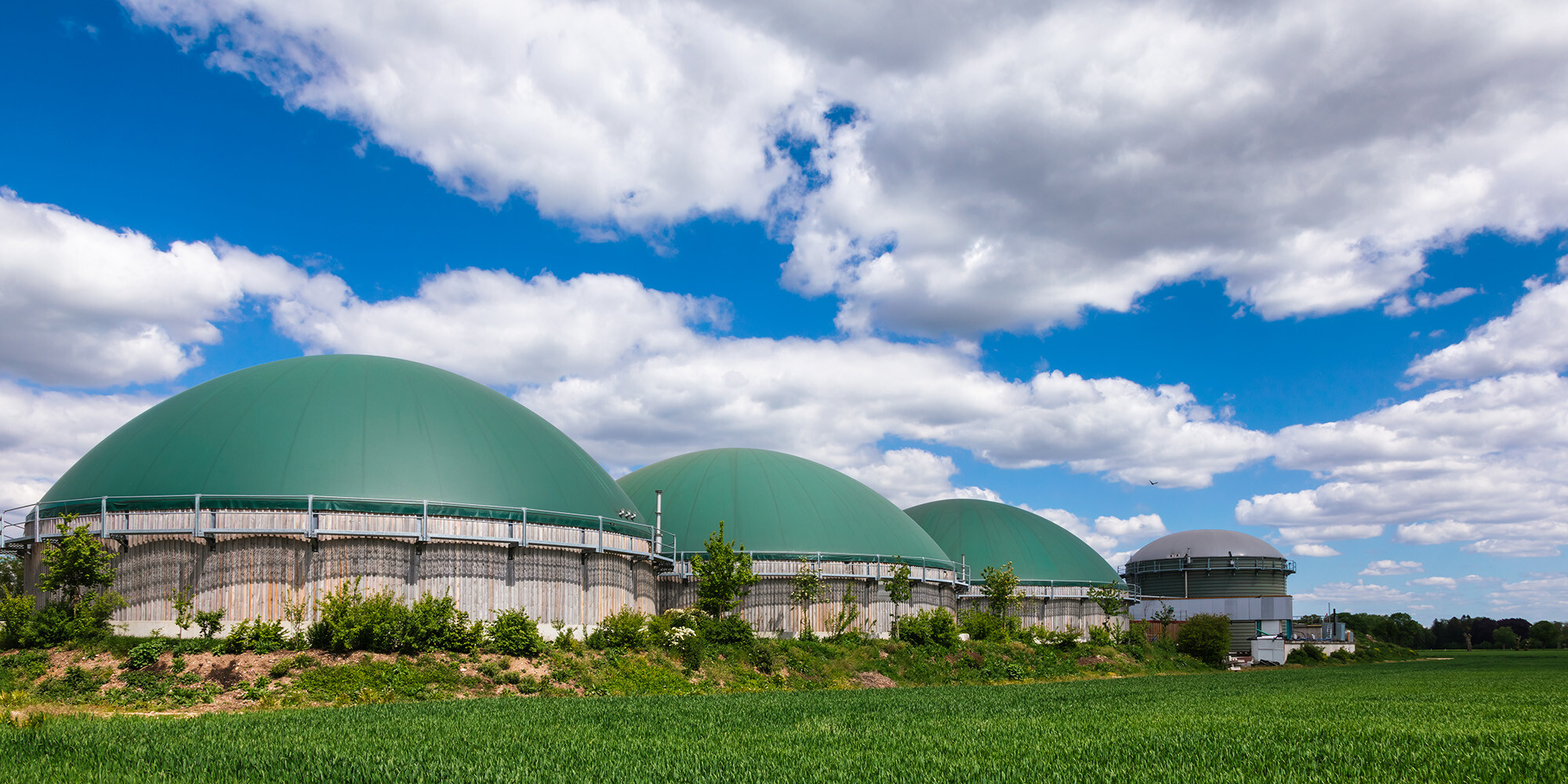 goldman-sachs-backed-verdalia-bioenergy-secures-780-million-to-expand