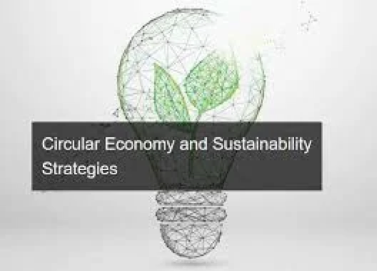 Circular Economy and Sustainability Strategies-Logo