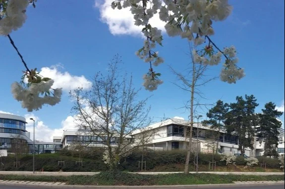 Companies and climate change-Logo