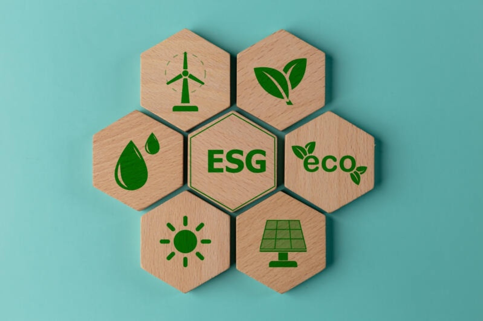 Corporate ESG and Sustainability - 101 Level Masterclass-Logo