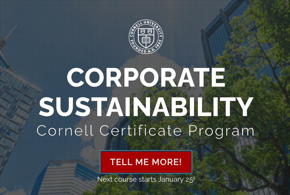 Corporate Sustainability Course-Logo