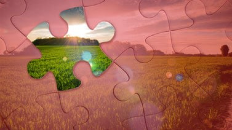 Environmental and Natural Resources Economics-Logo