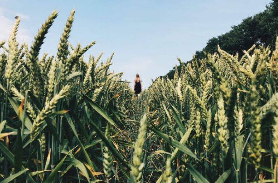 Green Transition in Eastern Partnership Countries-Logo