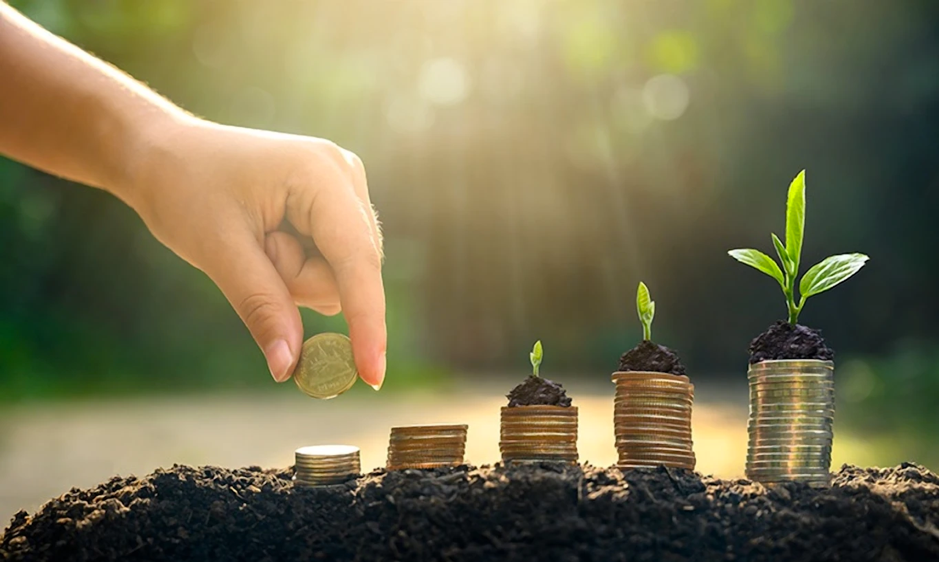 Certificate Programme in Sustainable Finance-Logo