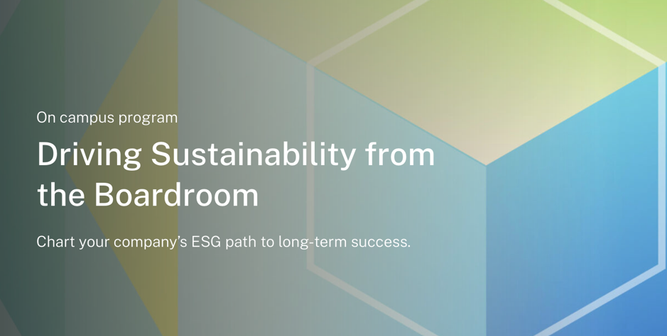 Sustainability certificate - Driving Sustainability from the Boardroom-Logo