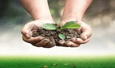 Sustainable Soil Management: Soil for life-Logo