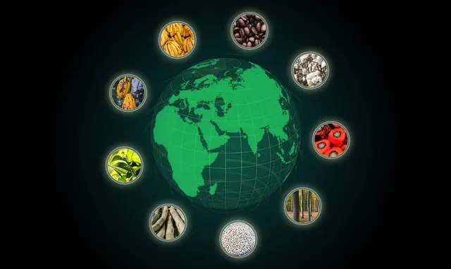 Sustainable Trade-Logo