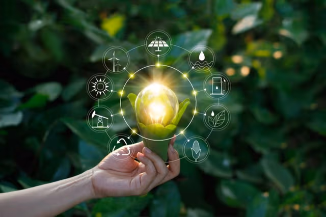 Working for a sustainable future: concepts and approaches-Logo