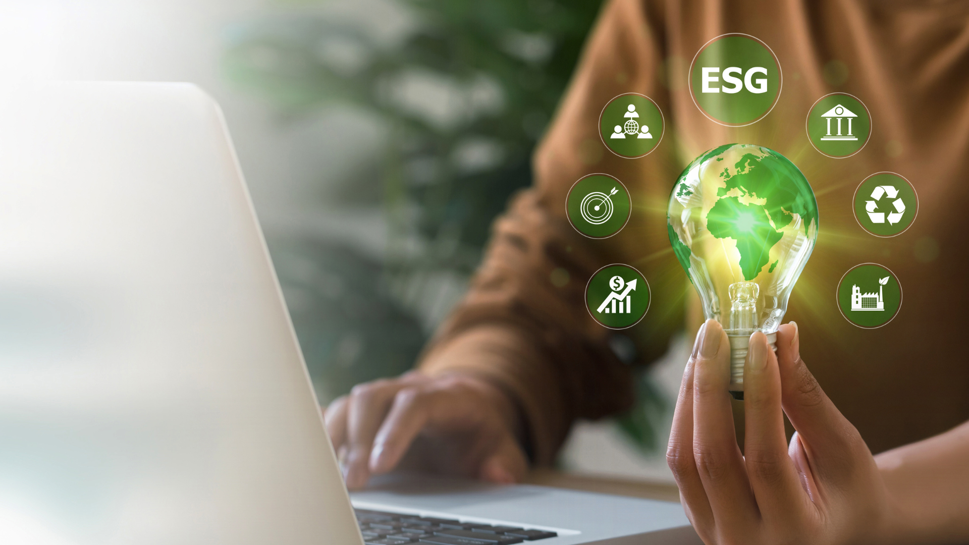 The Evolution of ESG: From Early Adopters to Future Resilience