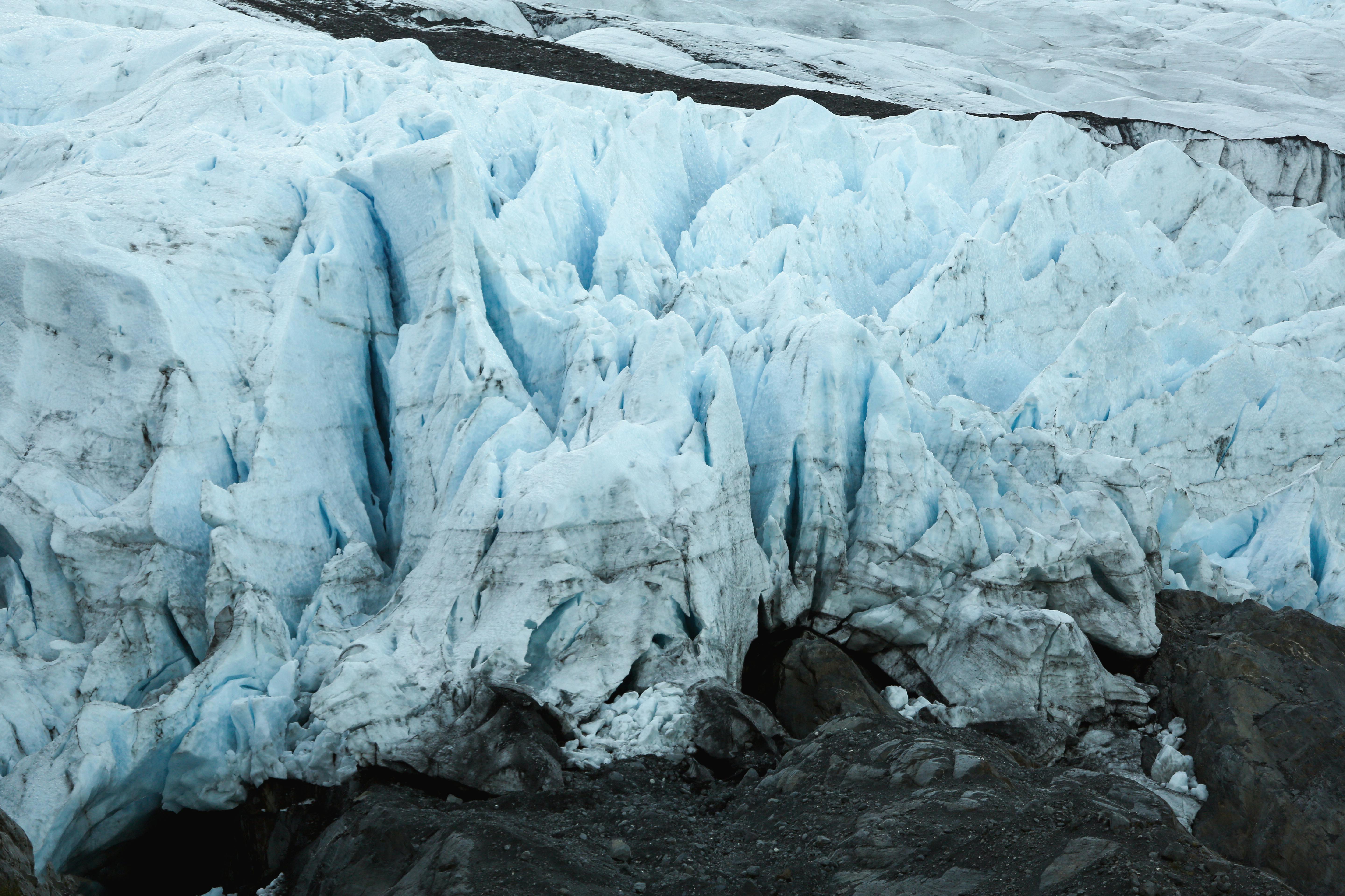 Once Earth's Hidden Climate Allies, Antarctic Algae Now Face Extinction ...