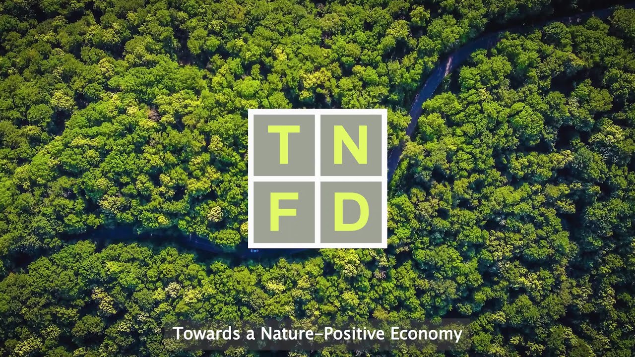 Understanding TNFD: A Framework for Managing Biodiversity Risk