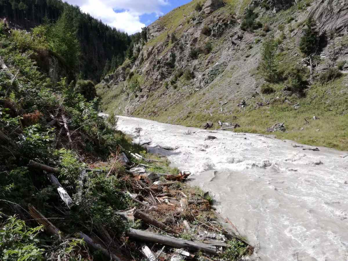 Restoring dammed rivers using artificial floods