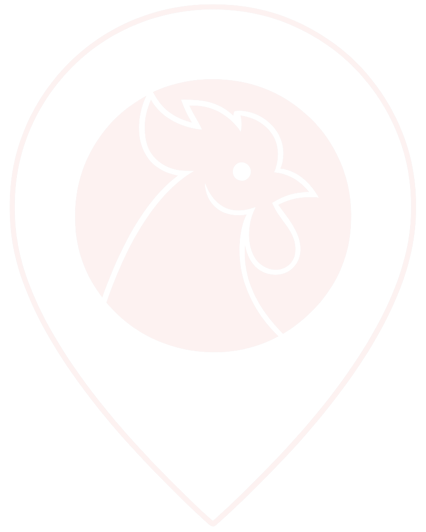 Online Kozhikada Logo