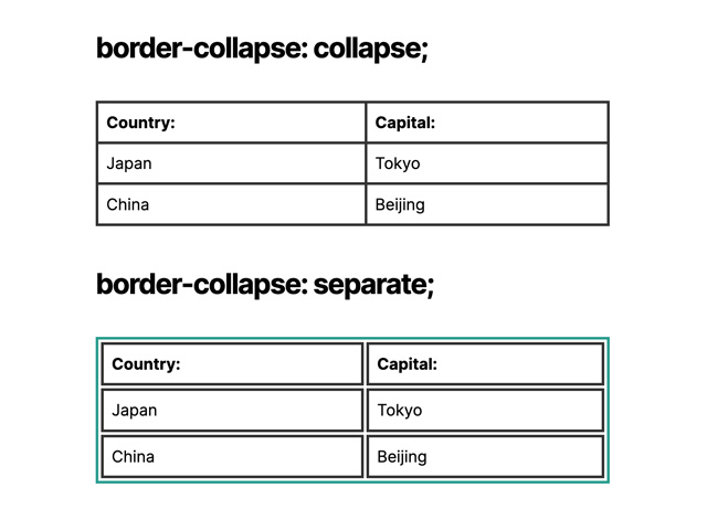 border-collapse property  defrence between  collapse and separate