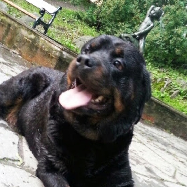 Ella, profile photo